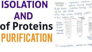 Isolation and Purification of Proteins 😎downstream processing [upl. by Helga]