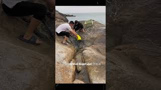 জল থেকে তাগড়া অক্টোপাস ও কাঁকড়া ধরি Catch octopuses and crabs from the water ytshots yt [upl. by Bernadina]