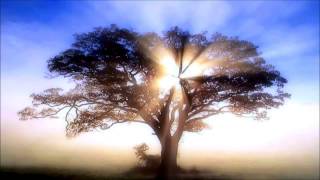 Suntree Mix ☀ Progressive Psy Trance 2014 HD [upl. by Htebirol]