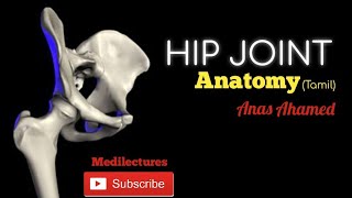 Hip Joint anatomy clearly explained Tamil medilecturestamil [upl. by Abey382]