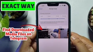 Find Downloaded Media Files on Telegram App on iPhone [upl. by Marasco499]