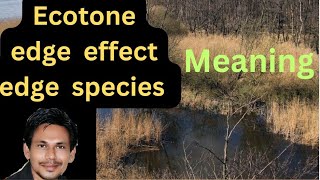 ecotoneecotone meaningecotone and edge effectecotone in hindi ecotone kya haiecotone upsc [upl. by Olney293]