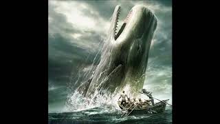 Moby Dick by Herman Melville 13 audiobook [upl. by Petromilli628]