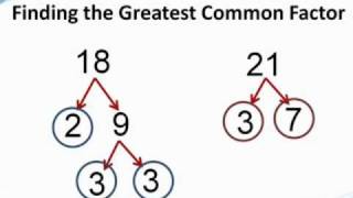 How to find the greatest common factor  from TutaPointcom [upl. by Hephzibah]