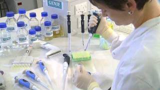 Using a Micropipette  University of Leicester [upl. by Elleiand]