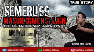 MASUK ALAM GHAIB AKIBAT KENCING DI ARCOPODO CERITA MISTIS PENDAKIAN GUNUNG SEMERU W HERU SURVIVAL [upl. by Sina230]