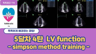 Simpson method training echocardiography 심장초음파 heart echo view simpson echo EF echo [upl. by Susann]