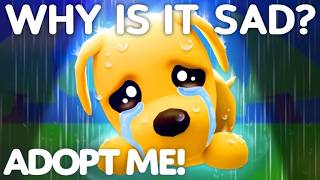 Why The Adopt Me Dog Is SAD [upl. by Sakhuja]