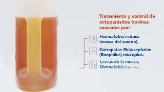 Fortik 4  Antiparasitario externo para uso en bovinos [upl. by Mccomb]