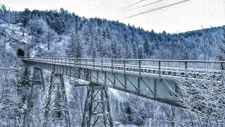 Kreuztalviadukt  Rübelandbahn im verschneiten Harz  Januar 2015 [upl. by Airdnahs701]