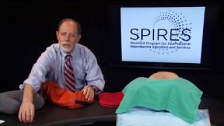 SPIRES Post Partum IUD insertion training demonstration [upl. by Perdita]