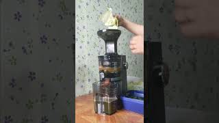 Healthy Juice  A natural extract from fruits and vegetables using Hurom Juicer [upl. by Eldorado3]