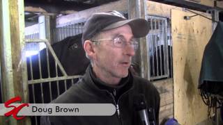 Distance Racing  Standardbred Canada Video Feature [upl. by Atinaej]