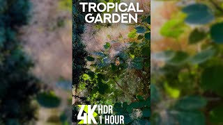 1 Hour of Relaxing Tropical Nature  Hawaii Botanical Garden for Vertical Screens in 4K HDR [upl. by Bail]