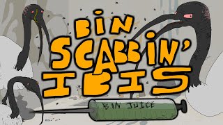 Bin scabbin Ibis Part 1 [upl. by Guttery906]