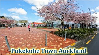 Pukekohe Auckland the most beautiful and small town of Auckland [upl. by Ardnalac]