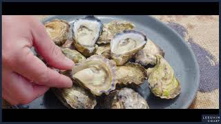 Leeuwin Coast  Albany Rock Oysters [upl. by Etteraj]