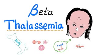 Beta Thalassemia  Causes and Types  minor Major amp Intermedia  Hematology [upl. by Redliw]