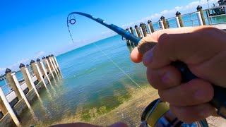 Fishing is Heating Up in Sanibel Florida [upl. by Riada654]