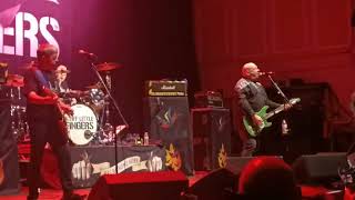 Stiff Little Fingers  Alternative Ulster  O2 City Hall  Newcastle 2024 [upl. by Nanon]