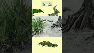 dwarf caiman vs monitor skink 🐊vs🦎 shorts viral [upl. by Carroll]