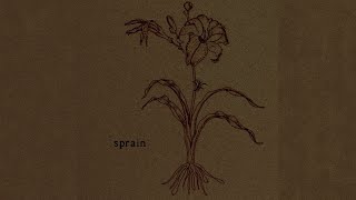 Sprain  True Norwegian Black Metal [upl. by Carlton]