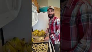 Dehydrating bananas for backpacking [upl. by Douty]