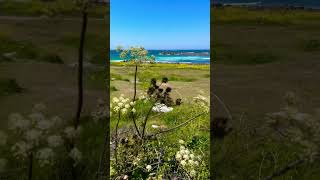 The Beauty of Guernsey’s Coastline  Channel Islands [upl. by Menard]