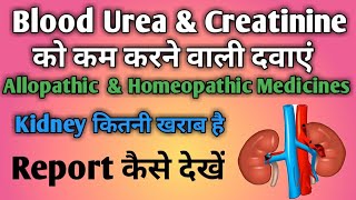 High Blood urea amp Creatinine  Allopathic amp Homeopathic MedicineSNPharmacy [upl. by Creamer52]