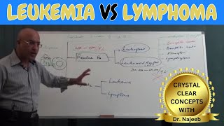 Difference Between Leukemia vs Lymphoma🩺 [upl. by Ned]