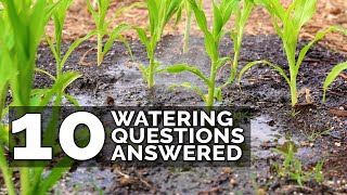 10 Ways to Water Your Garden Better [upl. by Cutcliffe716]