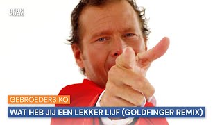 Gebroeders Ko  Wat Heb Jij Een Lekker Lijf Goldfinger Remix [upl. by Aicats189]