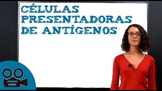 Qué son las células presentadoras de antígenos [upl. by Uile715]