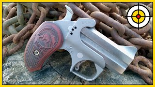 🐻Not Your Average Bear🐻 Bond Arms Grizzly 45 Colt amp 410 Derringer Range Review amp First Shots [upl. by Nesila150]