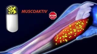 Muscoaktiv STOP KĹEÄŚĂŤM TV reklama [upl. by Darom689]