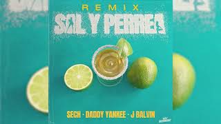 Sech Daddy Yankee J Balvin  Sal y Perrea Remix Audio Oficial [upl. by Kremer672]