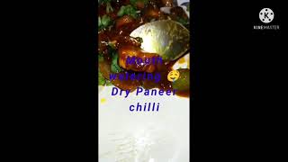 Dry Paneer chilli recipe its very delicious 😋🤤🤤🤤 and very easy [upl. by Nospmis]