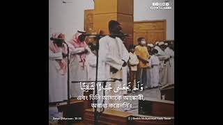 Very Beautiful Quran Recitation by Sheikh Muhammad Hady Toure  Surah Maryam 3035 [upl. by Broddy]