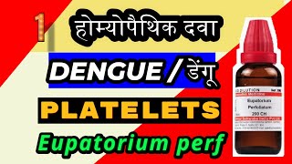 Eupatorium perfoliatum 200 for dengue  Eupatorium perf 200 for platelets count  dengue [upl. by Materse]