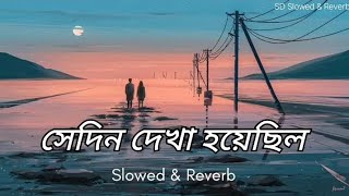 Sedindekhahoyechiloসেদিন দেখা হয়েছিলLofiSongSDSlowedampReverb [upl. by Enawd729]