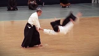 Daitoryu Aikijujutsu  Kondo Katsuyuki  38th Kobudo Embutakai at the Nippon Budokan [upl. by Attenreb]