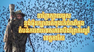 Garganeyទាព្រៃក្បាលឆ្នូតសBird of Boeung Prek Lapouv protected landscape wildlifephotography [upl. by Allegra]