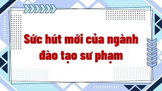 Sức hút mới của ngành đào tạo sư phạm [upl. by Yehc68]