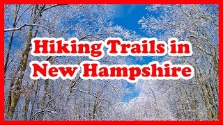 5 TopRated Hiking Trails in New Hampshire  US Hike Guide [upl. by Tyrus599]