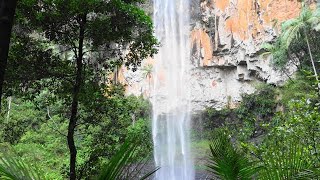 Purling Brook Water Falls in Springbrook Gold Coast Queensland [upl. by Leilah201]