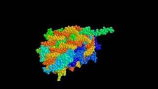 nucleosome [upl. by Ellmyer]