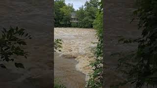 Crabtree Creek Flooding from Hurricaine Debby its going to get higher crabtreecreek [upl. by Atinrev407]