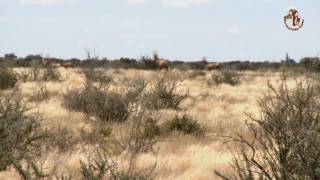 Namibia erleben  Teil 6  Lodges zum Wohlfühlen [upl. by Aiciles529]