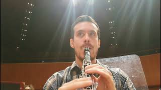 Shostakovich Symphony n5 part 1  Eb Clarinet excerpts mov II [upl. by Frendel]