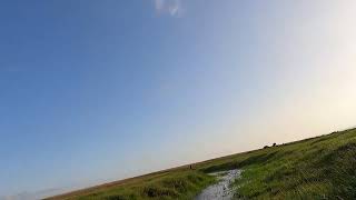 little brook Dartmoor 6th Oct 2023 [upl. by Mehala]